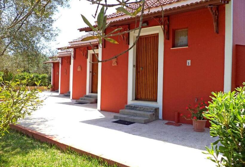 Отель Dendrolivano