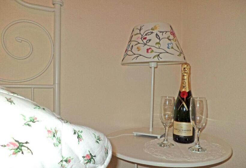 Отель Dendrolivano