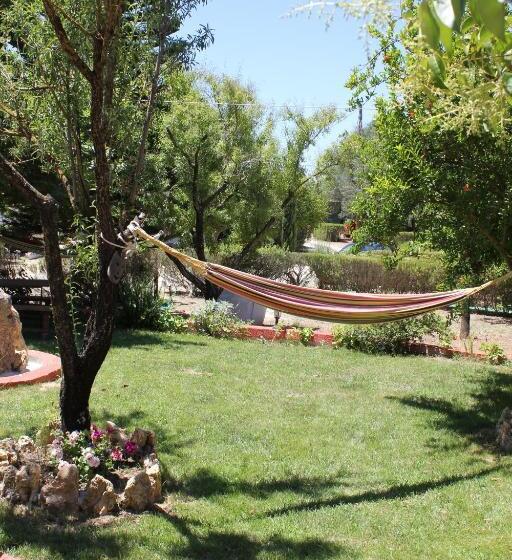 Отель Dendrolivano