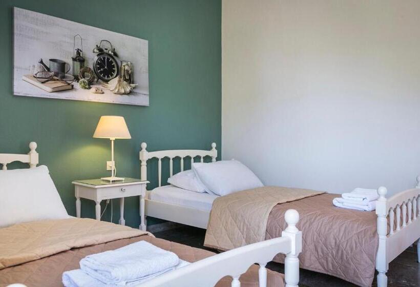 Отель Dendrolivano