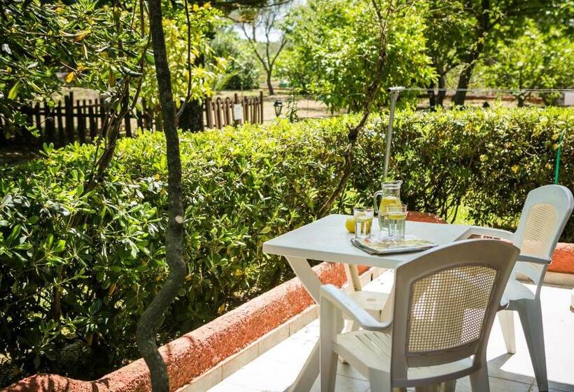 Отель Dendrolivano