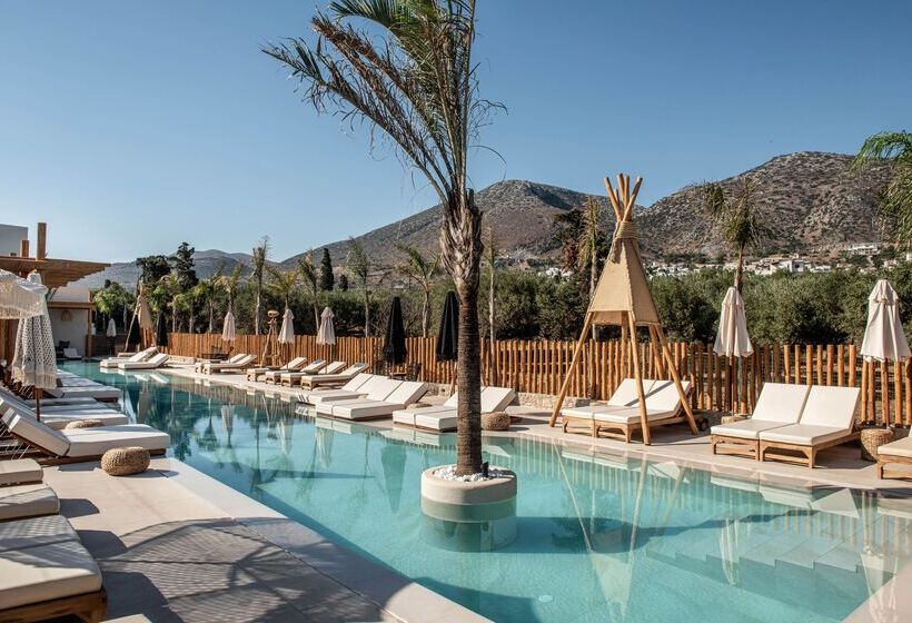 בית מלון כפרי Indigo Inn Casa Adults Only