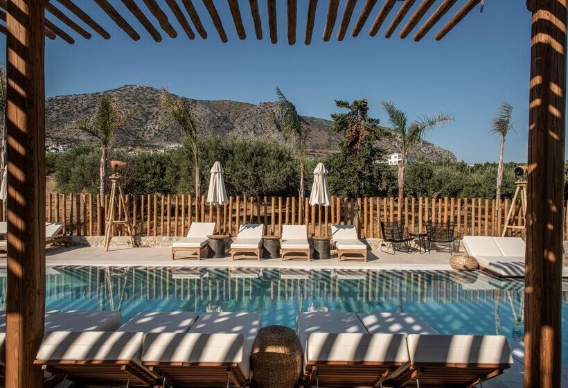 בית מלון כפרי Indigo Inn Casa Adults Only