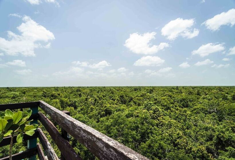 فندق Reserva Nativa