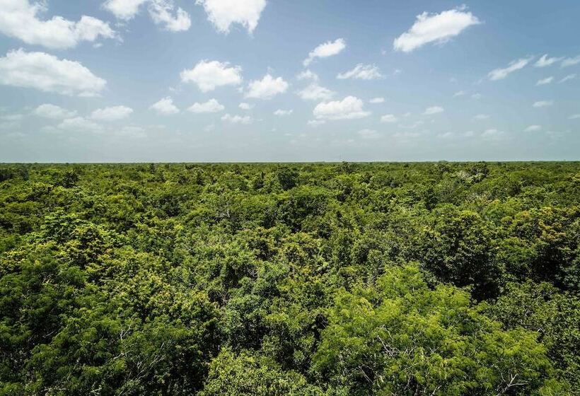 فندق Reserva Nativa