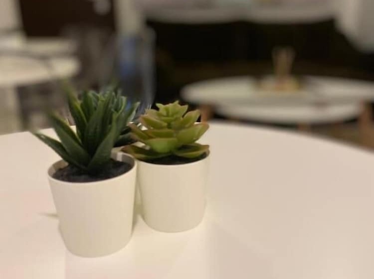 Solomou Inn Boutiques