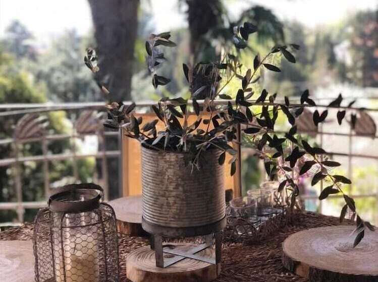 B&b Il Pioppo Antico