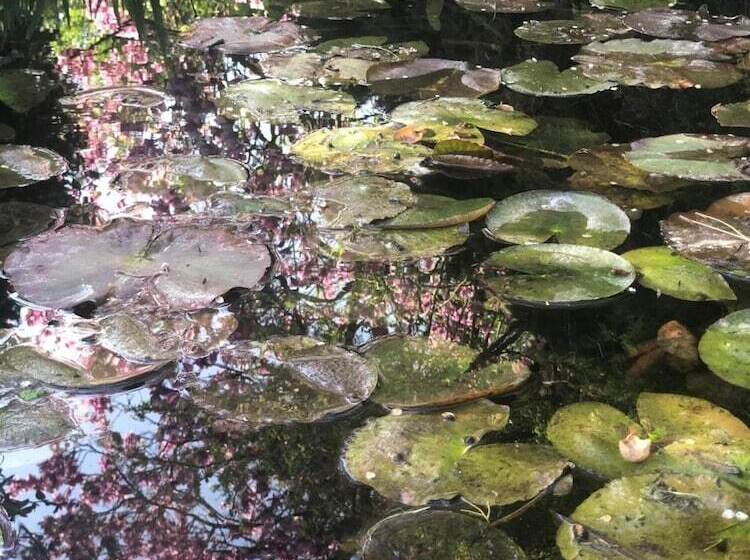 B&b Il Pioppo Antico