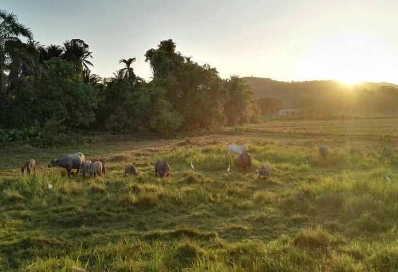 酒店 Cloud 9 Guest House