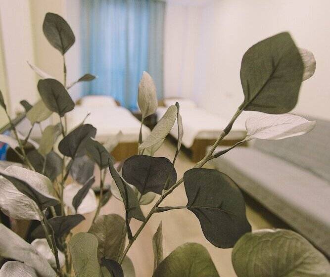 Отель White House