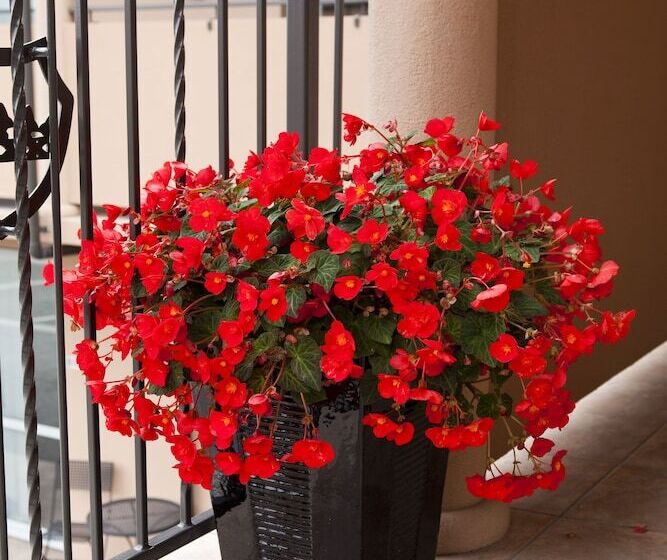 162 Kings Of Riccarton Motel