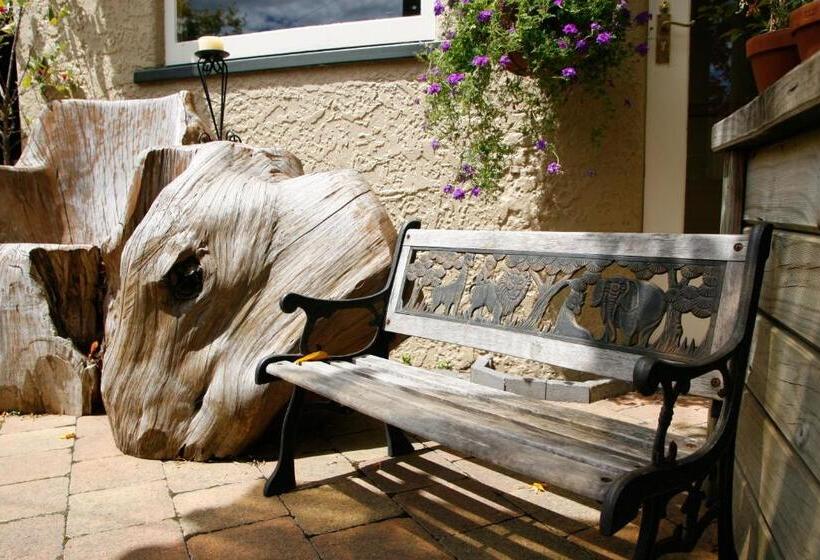 هاستل The Prince Albert Backpackers & Bar