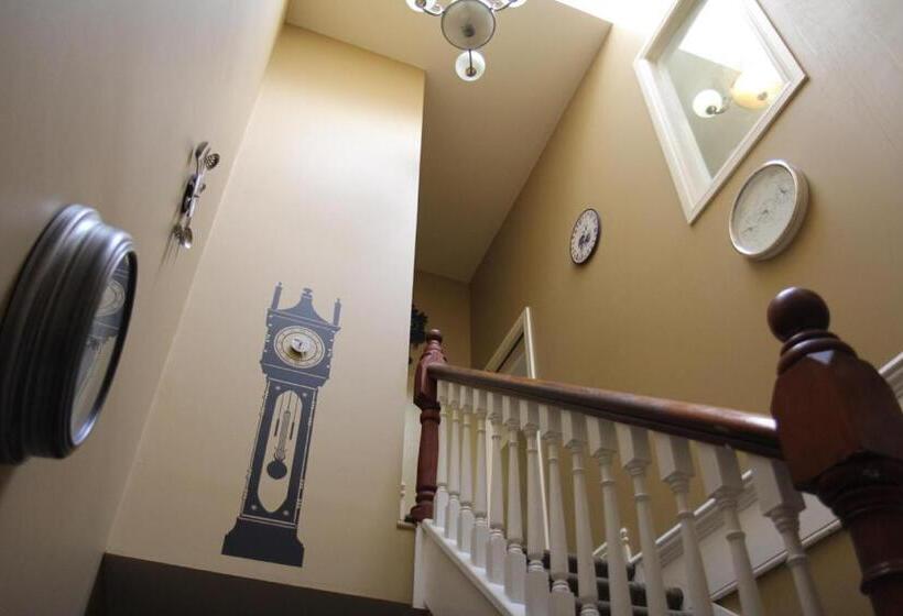 فندق صغير The Prince Albert Backpackers & Bar