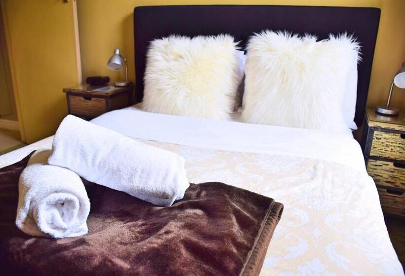 فندق صغير The Prince Albert Backpackers & Bar