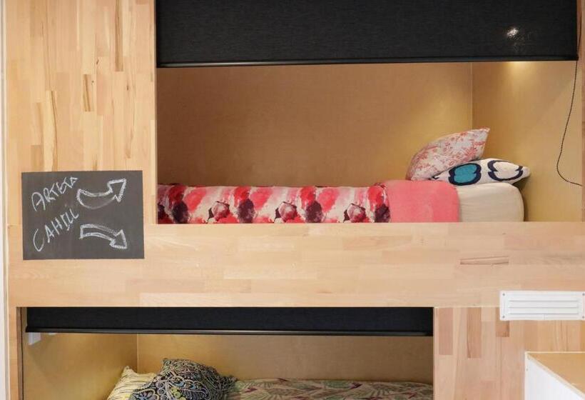 ユースホステル Finlay Jack S Backpackers