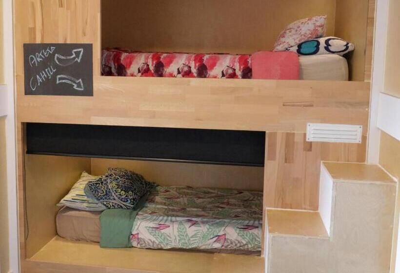 ユースホステル Finlay Jack S Backpackers