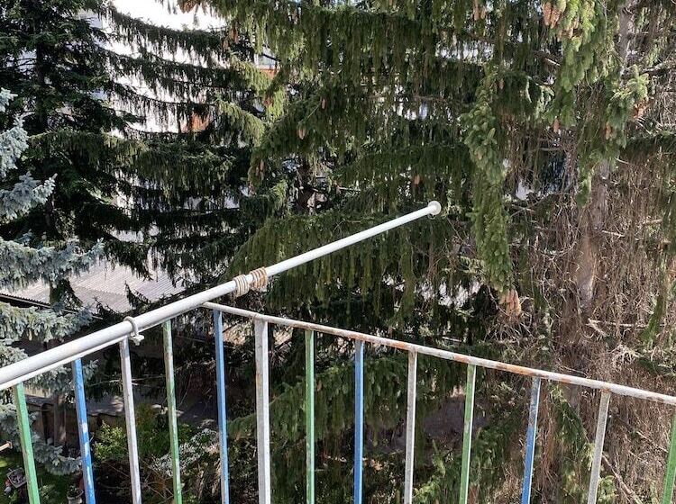 Altstadthaus Cityappartements