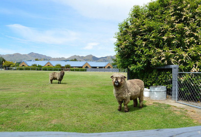 Amuri House Boutique Motel