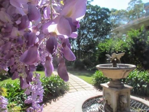 Amytis Gardens Retreat & Day Spa