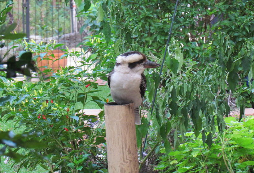 Amytis Gardens Retreat & Day Spa