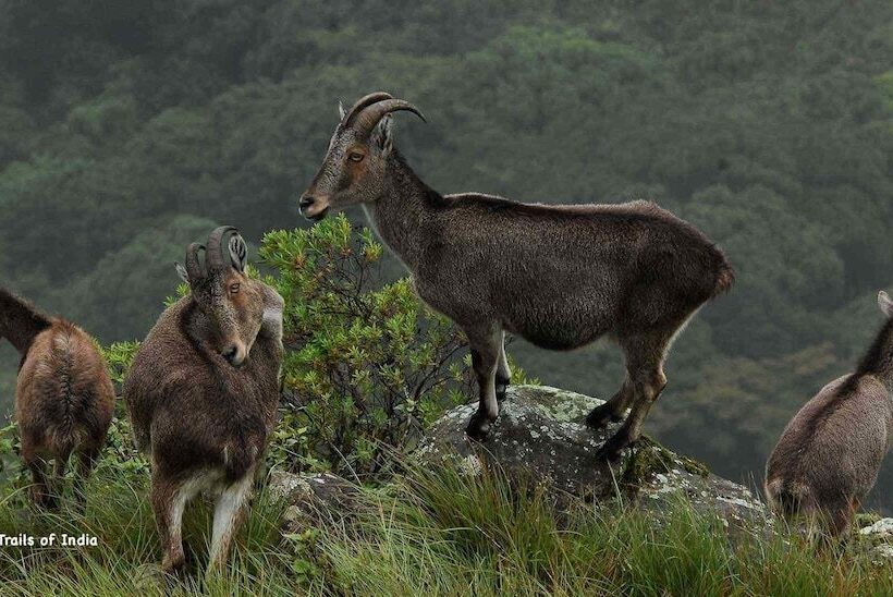 Atlas Airport Hotel Apartment