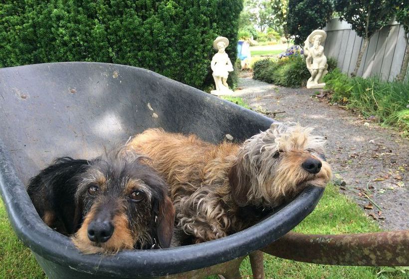 ベッドアンドブレックファースト Blairgowrie House