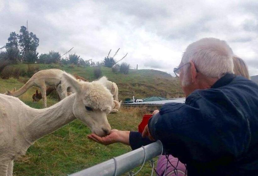 تختخواب و صبحانه Hunters Moon