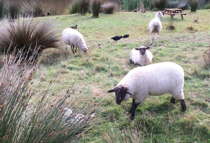 تختخواب و صبحانه Hunters Moon