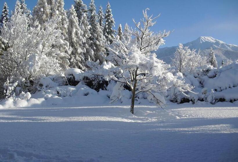 住宿加早餐  Marchmont Gardens