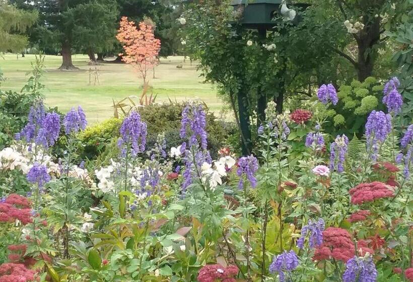 住宿加早餐  Marchmont Gardens