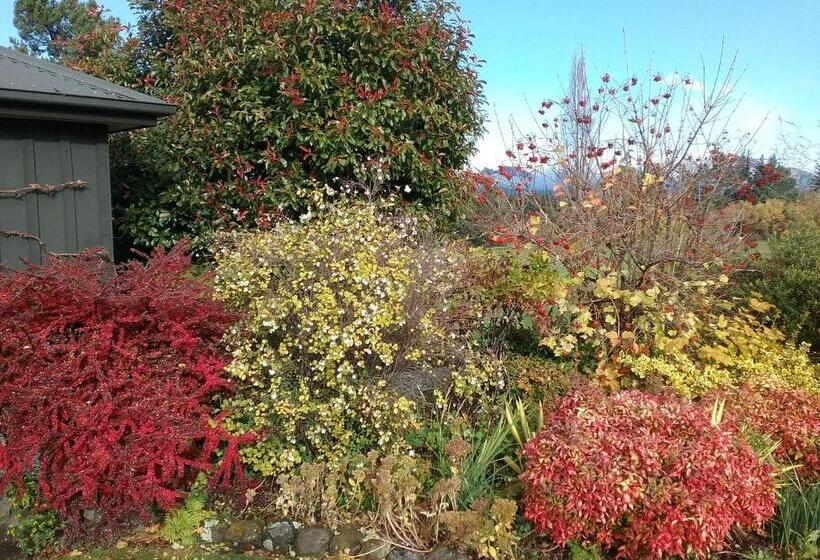 住宿加早餐  Marchmont Gardens