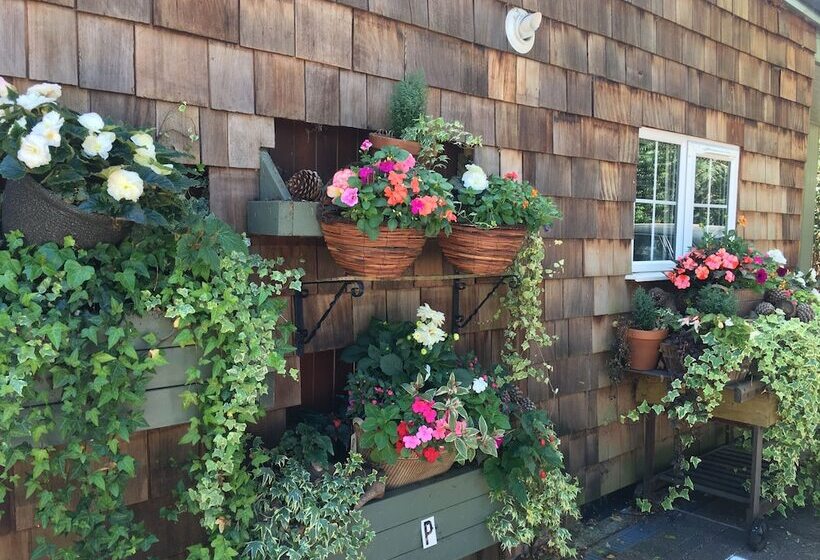 Bed and Breakfast Petherton Cottage Studios