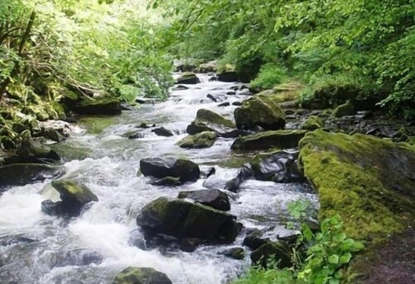 צימר Simonsbath House