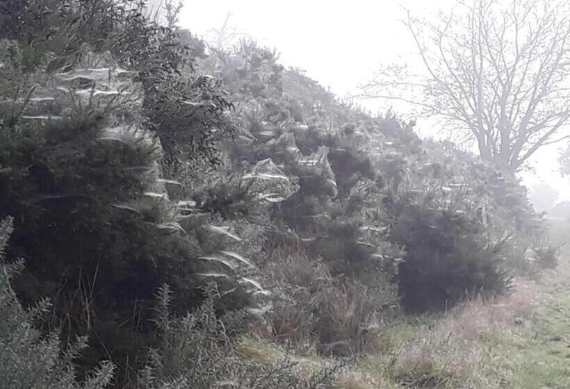 Bed and Breakfast The Old Vicarage