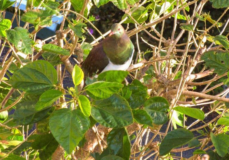 Craicor Boutique Apartments