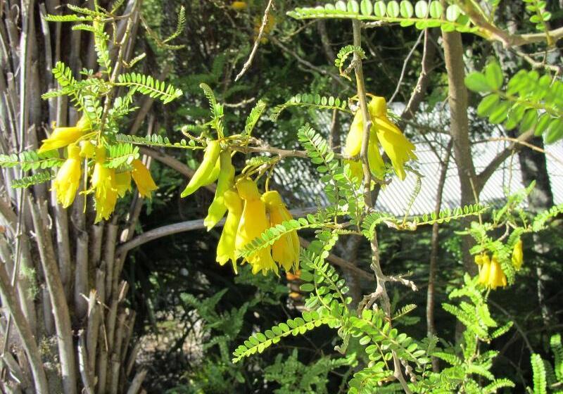 Craicor Boutique Apartments