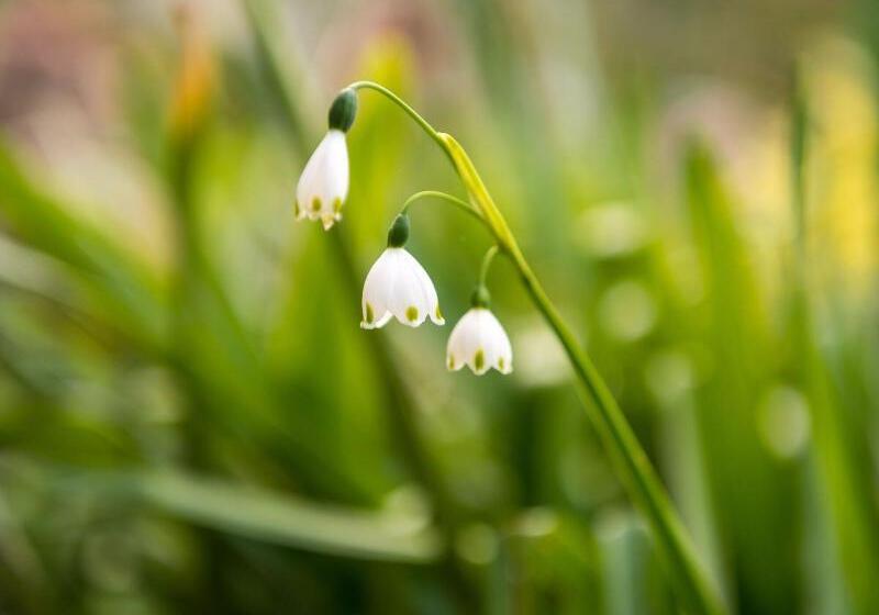 Craicor Boutique Apartments