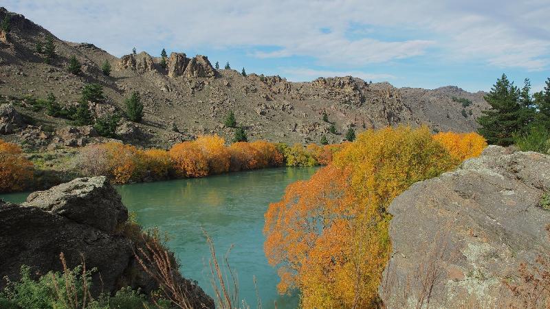 Hartley Homestead Boutique Bed & Breakfast