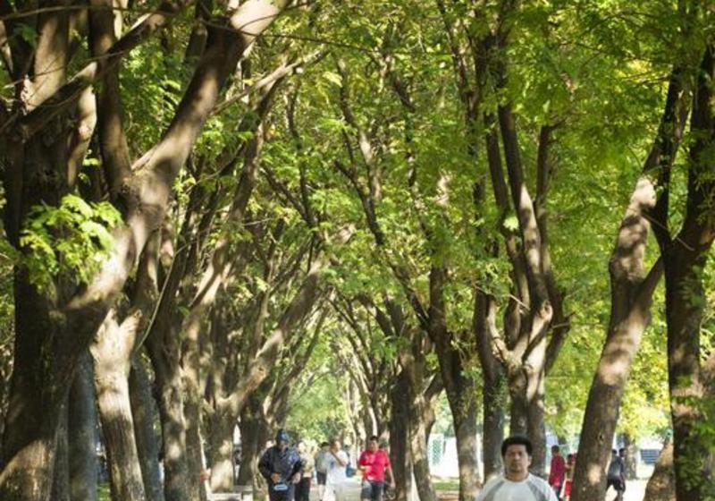 בית מלון כפרי Amaris Hertasning   Makassar