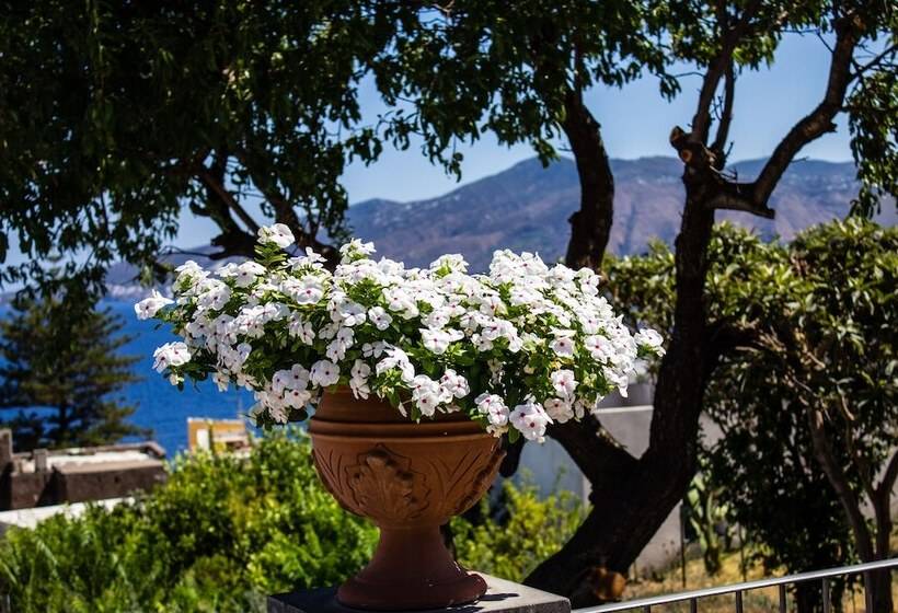 فندق Arcangelo   Salina