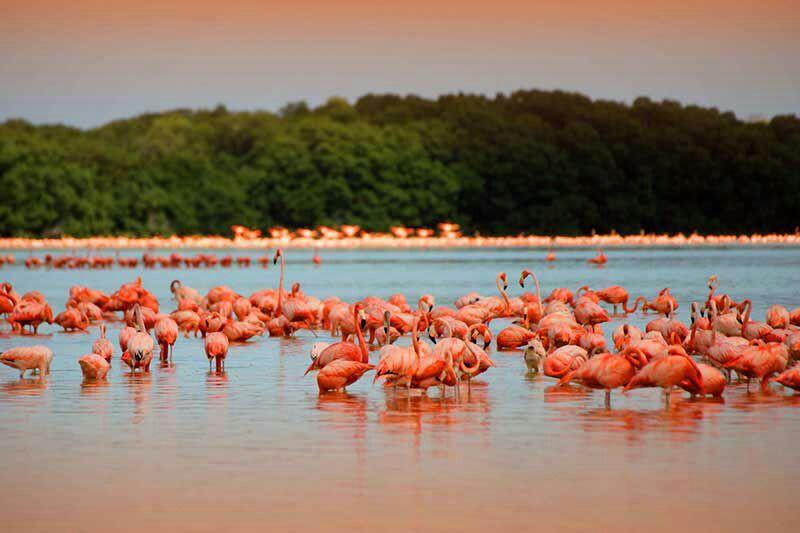 בית מלון כפרי Cabañas Casa Maya Holbox Frente Al Mar