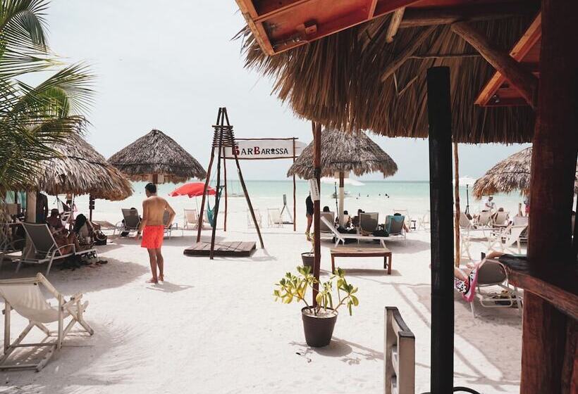 בית מלון כפרי Cabañas Casa Maya Holbox Frente Al Mar