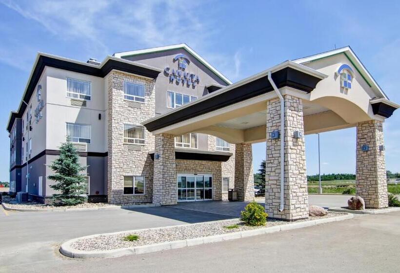 Canalta Hotel Assiniboia