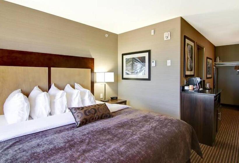 Canalta Hotel Assiniboia