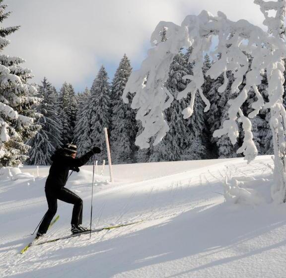 Отель De La Truite & Spa Le Petit Nautilus