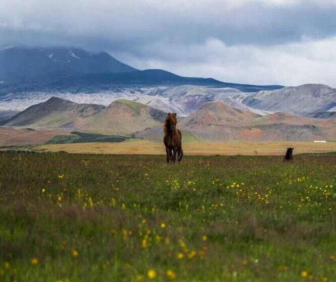 هتل Hótel Leirubakki