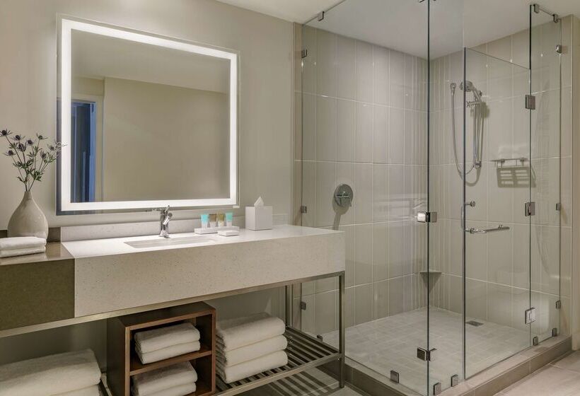 Отель Hyatt Regency Houston Galleria