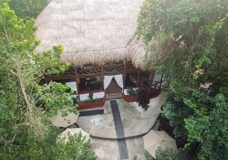 فندق Jolie Jungle Eco