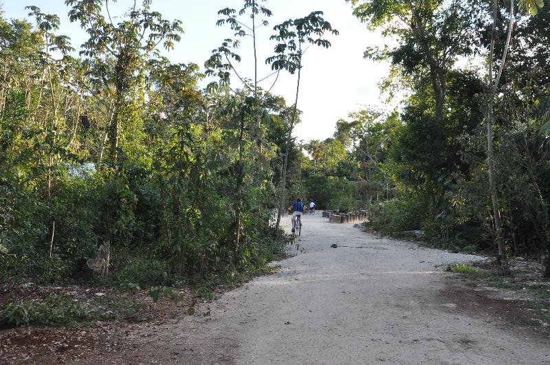 فندق Jolie Jungle Eco