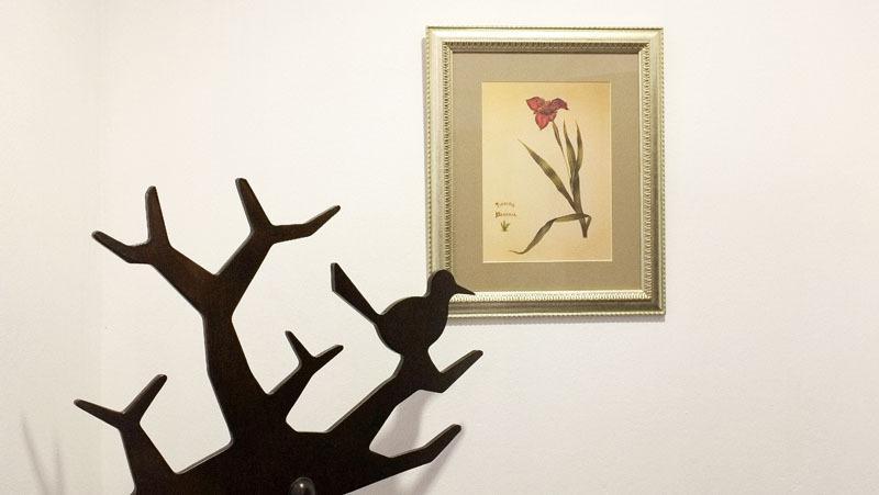 Hotel Ladawan Boutique